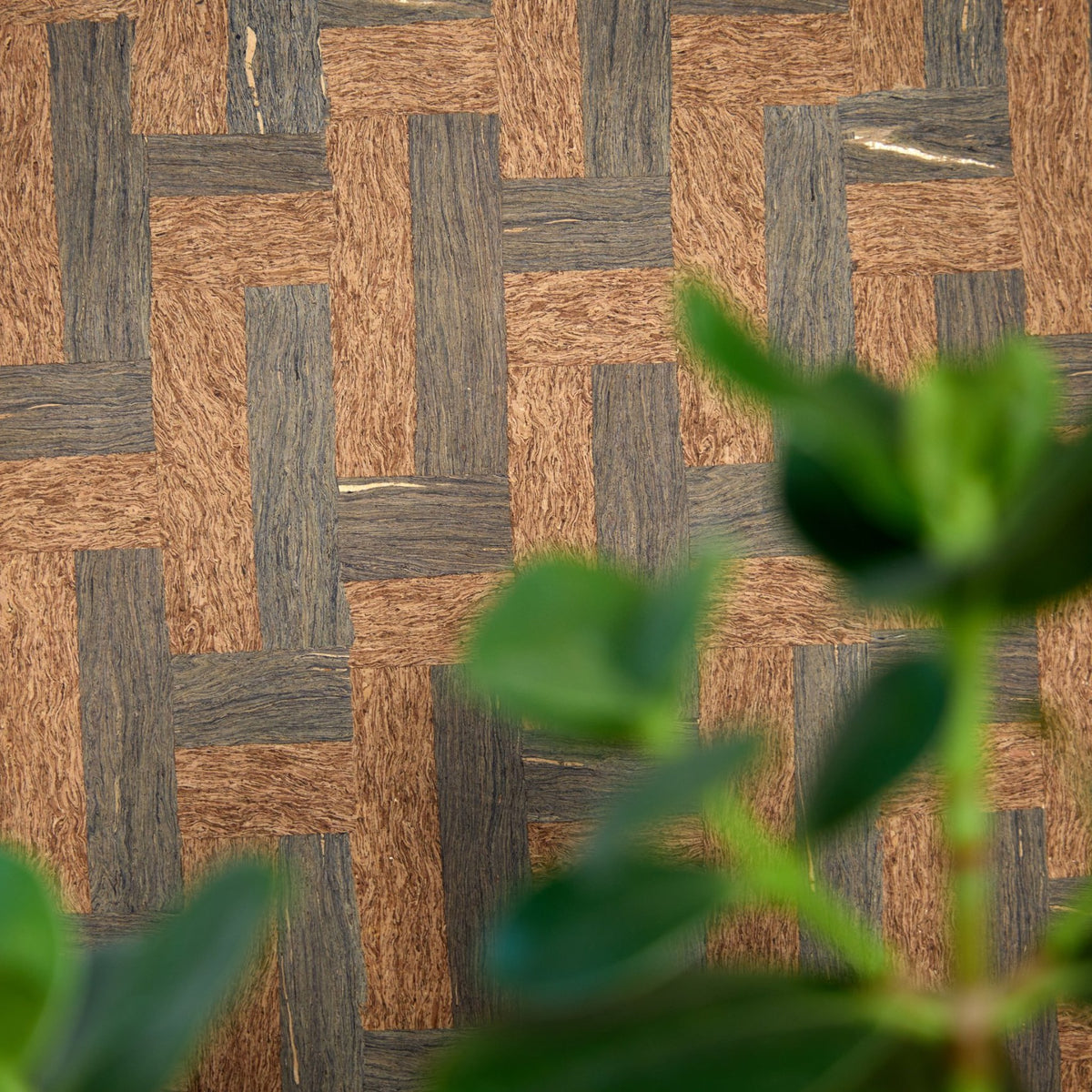 Cork Wallpaper