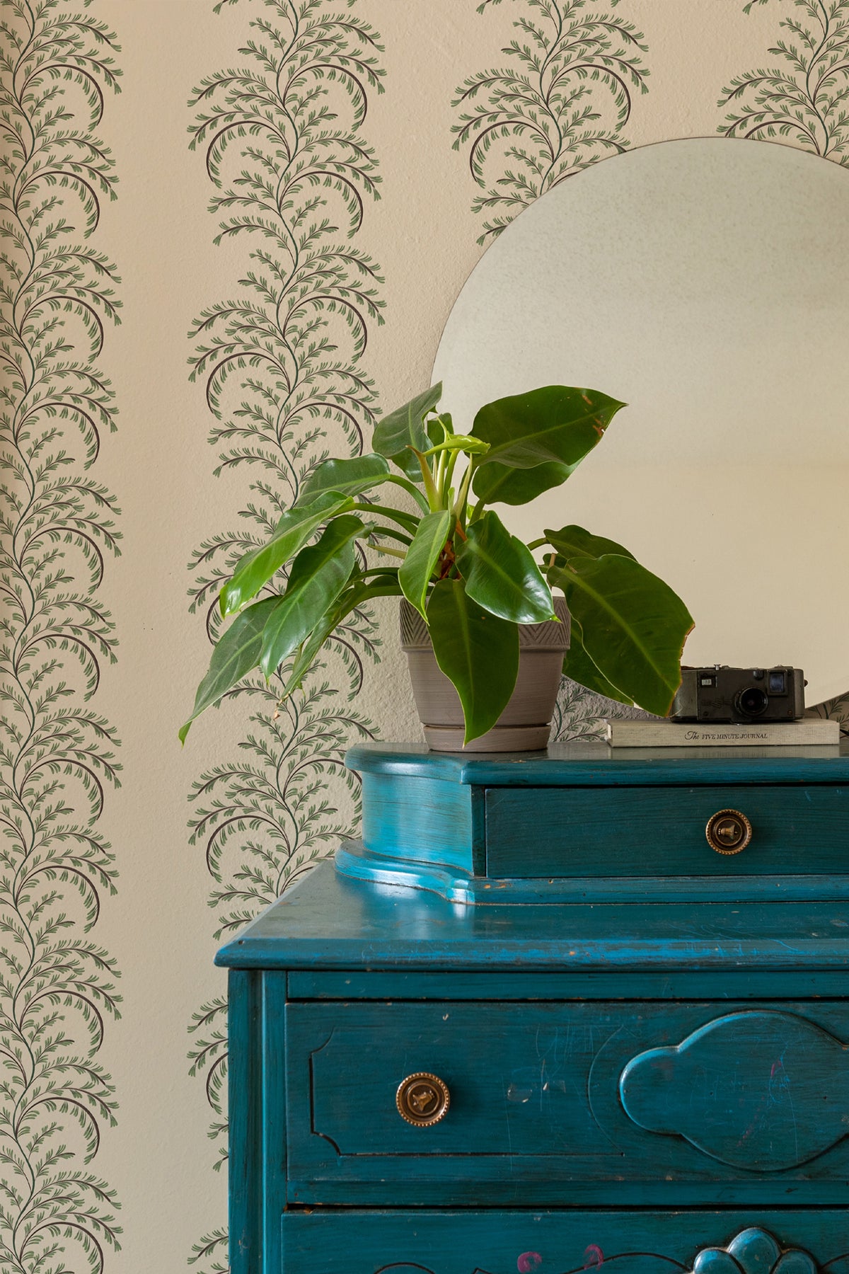 A potted green plant in a gray pot sitting on a distressed teal wooden dresser, with a round mirror and a vintage camera behind it against a beige wallpaper with a gray damask pattern.