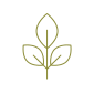 Icon - Natural or Reclaimed