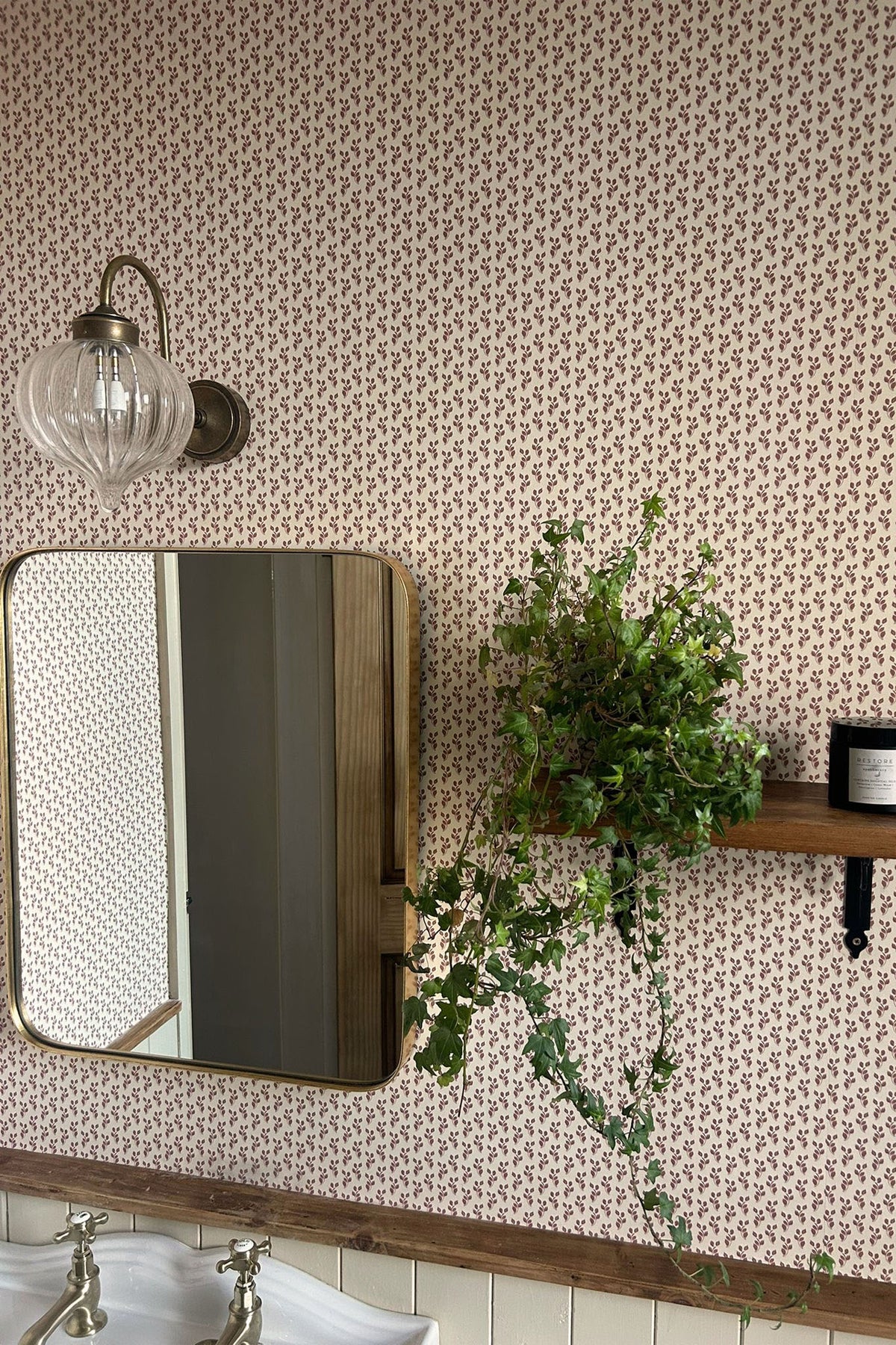 A bathroom scene with patterned wallpaper, a wall-mounted mirror, a glass wall sconce, a wooden shelf holding a green trailing plant, and part of a white sink visible at the bottom.