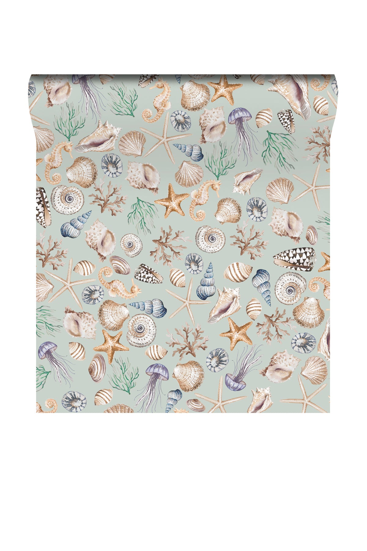 A roll of wallpaper featuring an all-over seashell and starfish pattern on a pale sage green background, shown against a plain white studio backdrop.